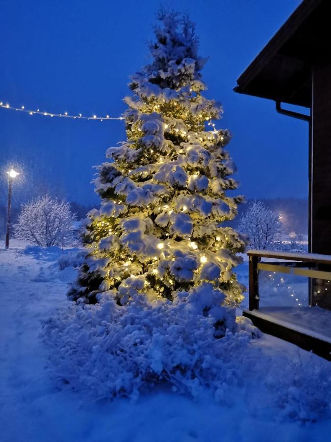 Kiurunrinne Villas Imatra Luaran gambar